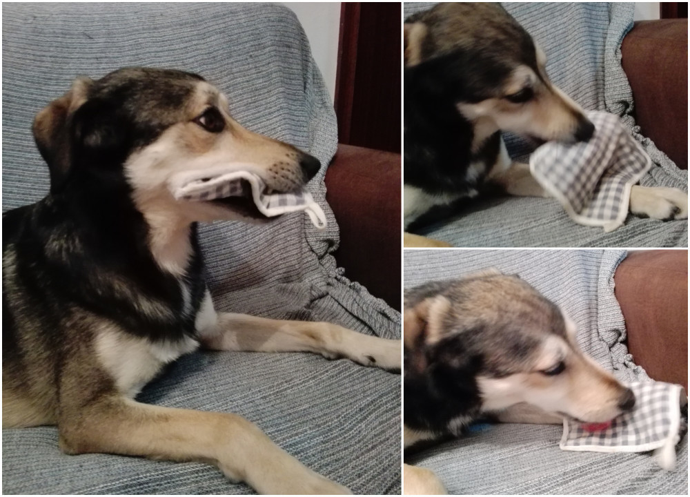 Colagem sem título.jpg Colagem sem título.jpg