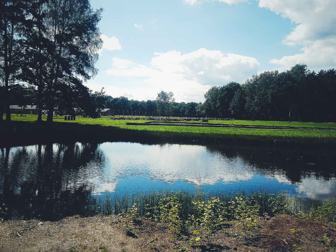 2016-08-15 05.44.03 1.jpg