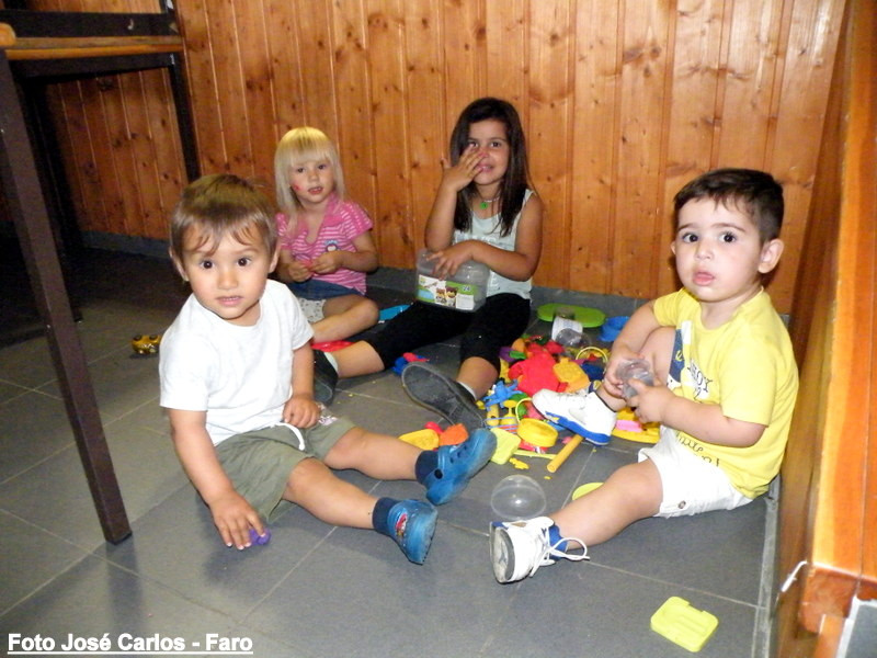 Leilão Ervidel 2017 004.JPG