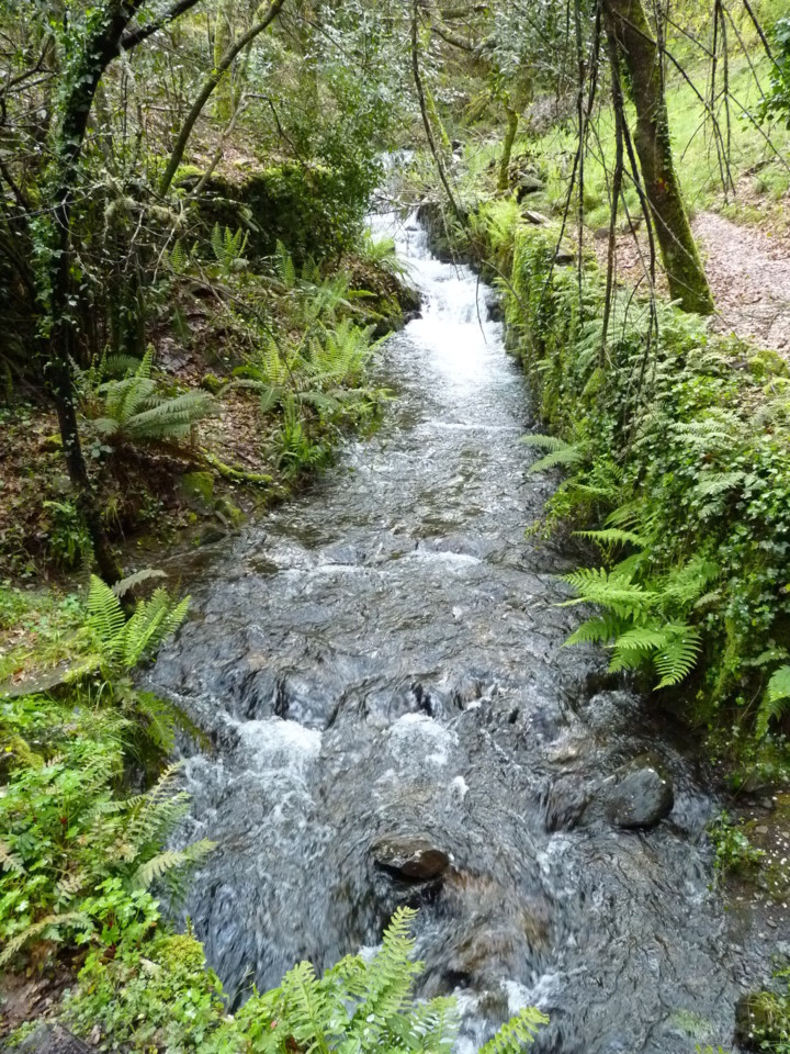 Lousã (17).JPG Lousã (17).JPG