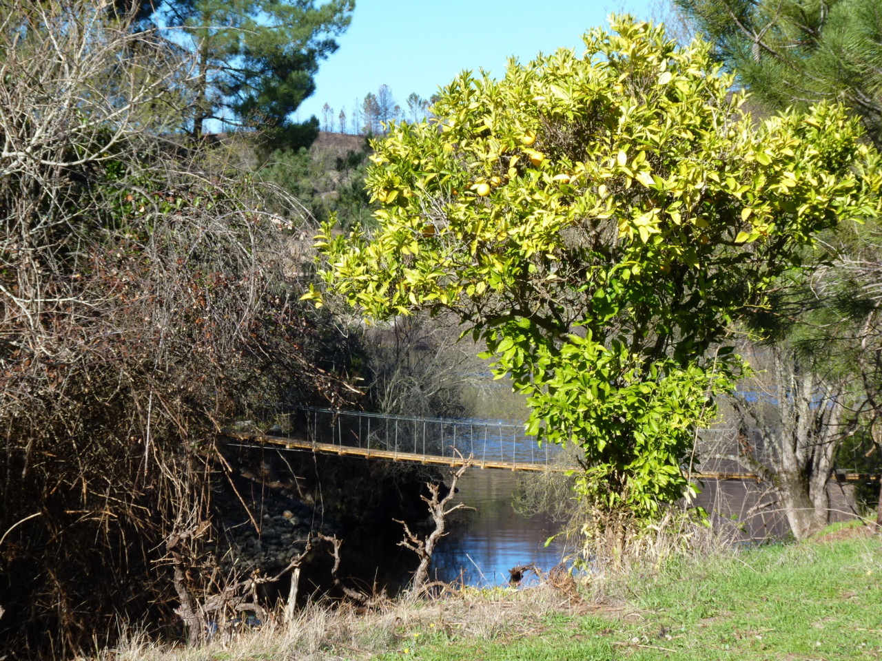Trilho da mina de ouro do Conhal - Ilha do Cabecin