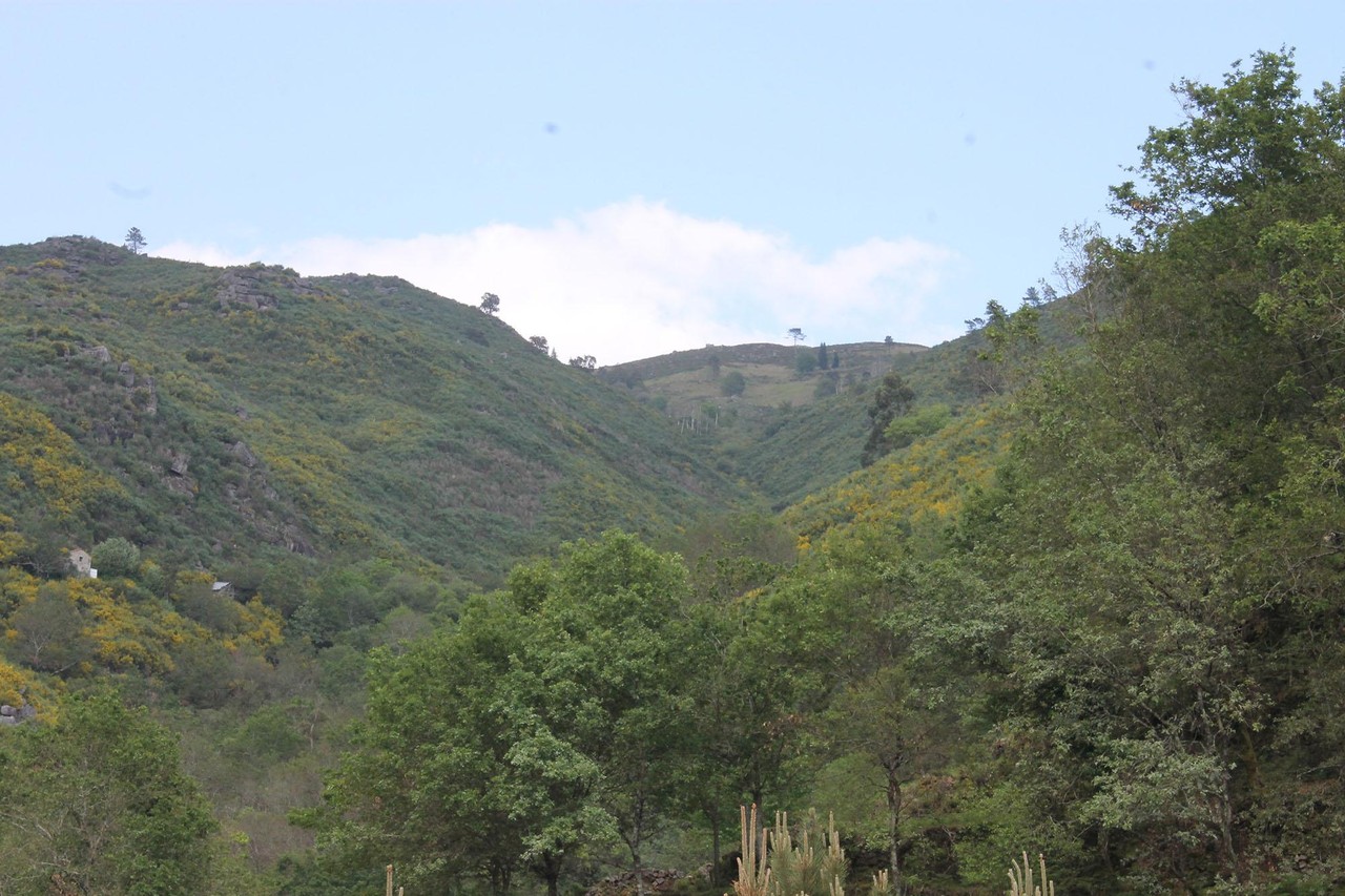 12_158.jpg 12_158.jpg