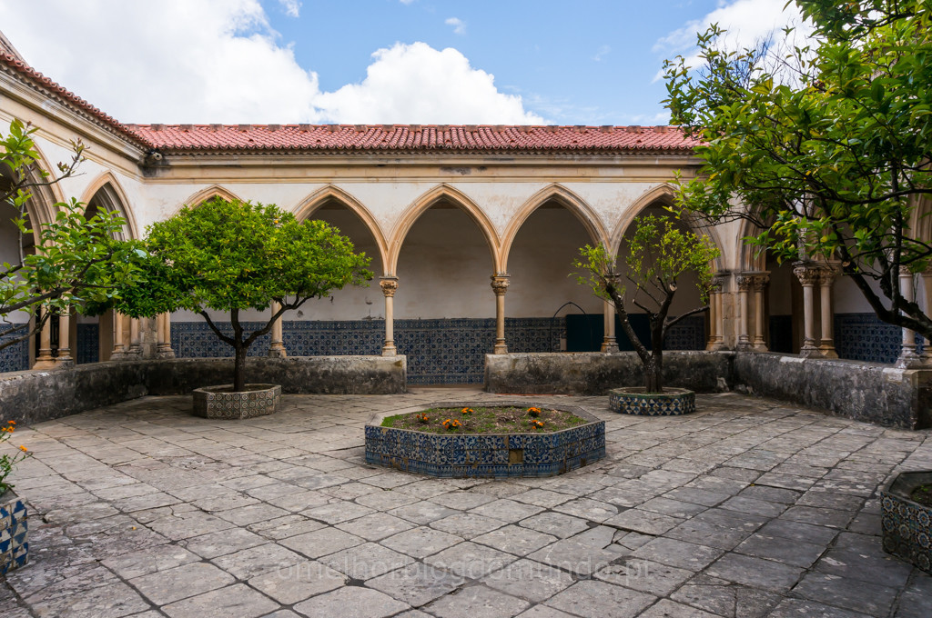 _DSC7176.jpg _DSC7176.jpg