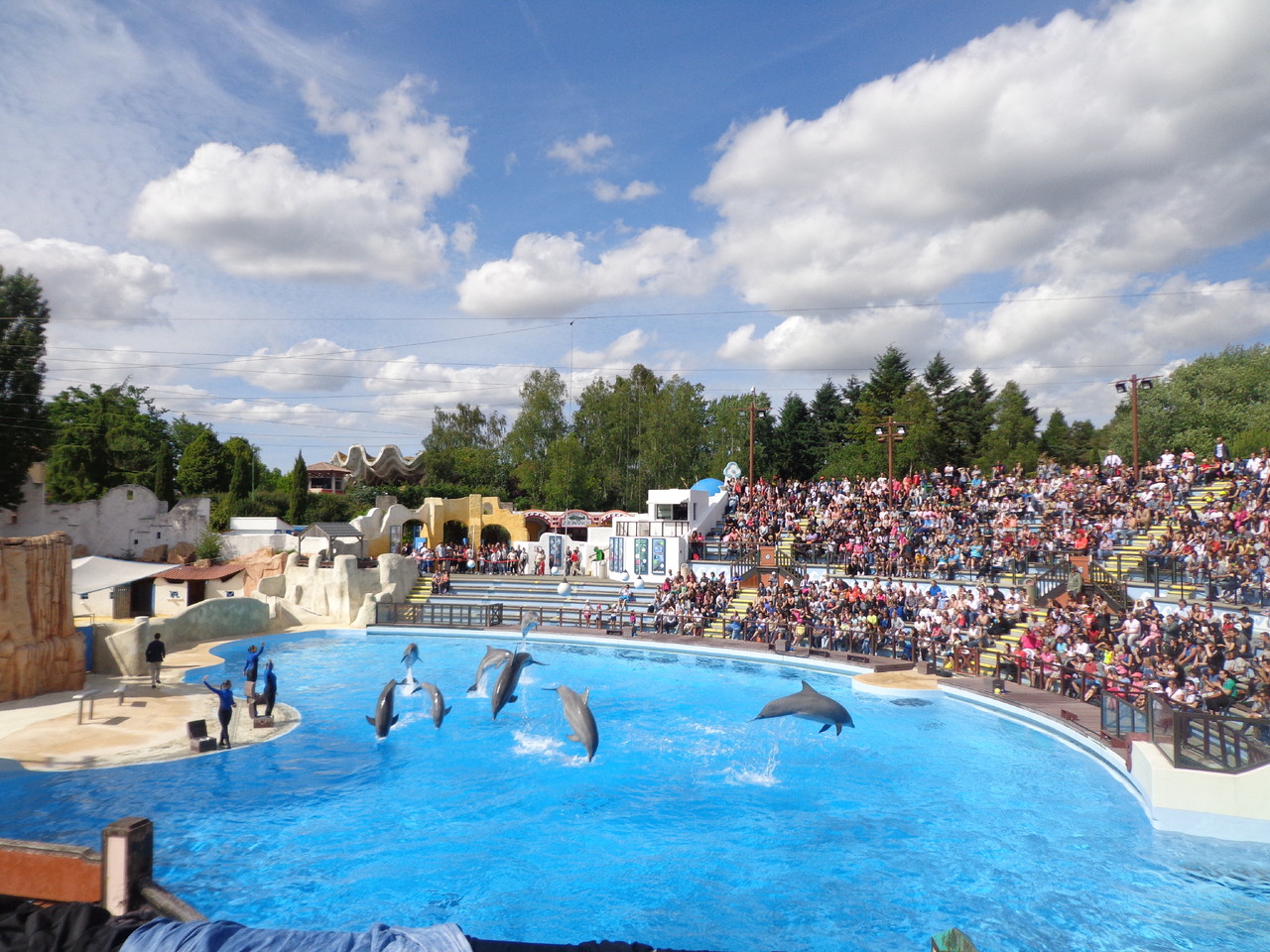 DSC04870.JPG DSC04870.JPG