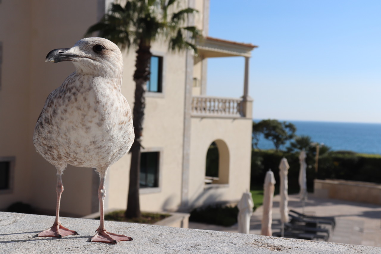 IMG_2898.JPG IMG_2898.JPG