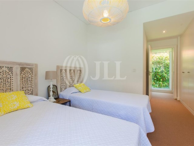 aroeira7.jpg aroeira7.jpg