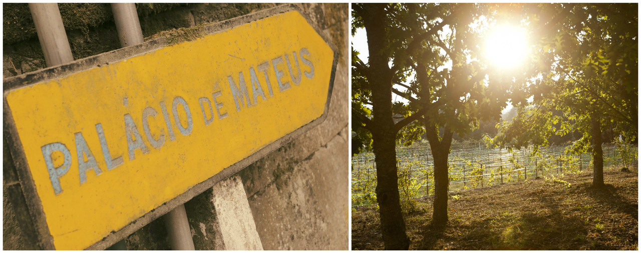 FotorCreated.jpg FotorCreated.jpg