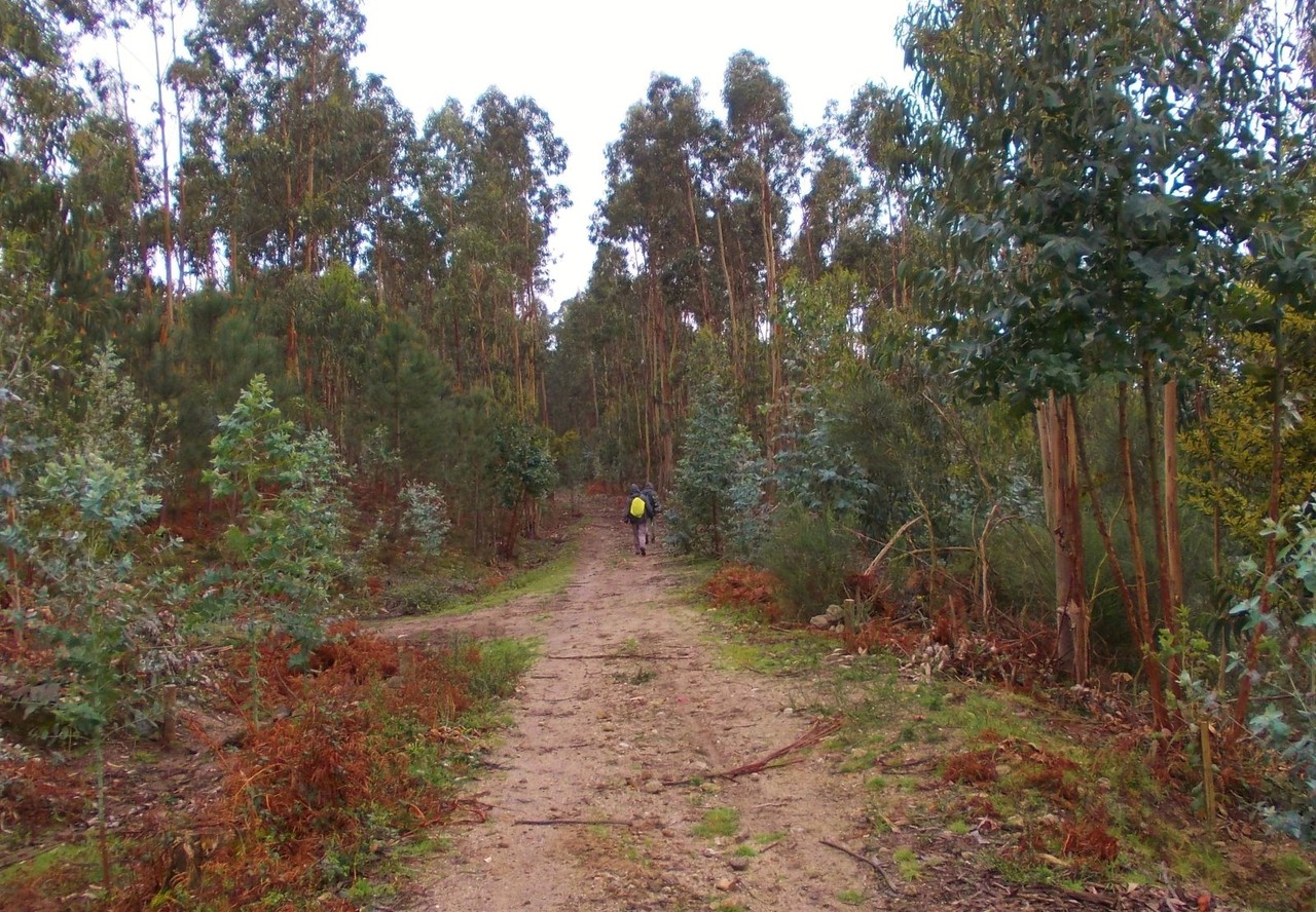 2012-01-01 2012-01-01 001 023.jpg