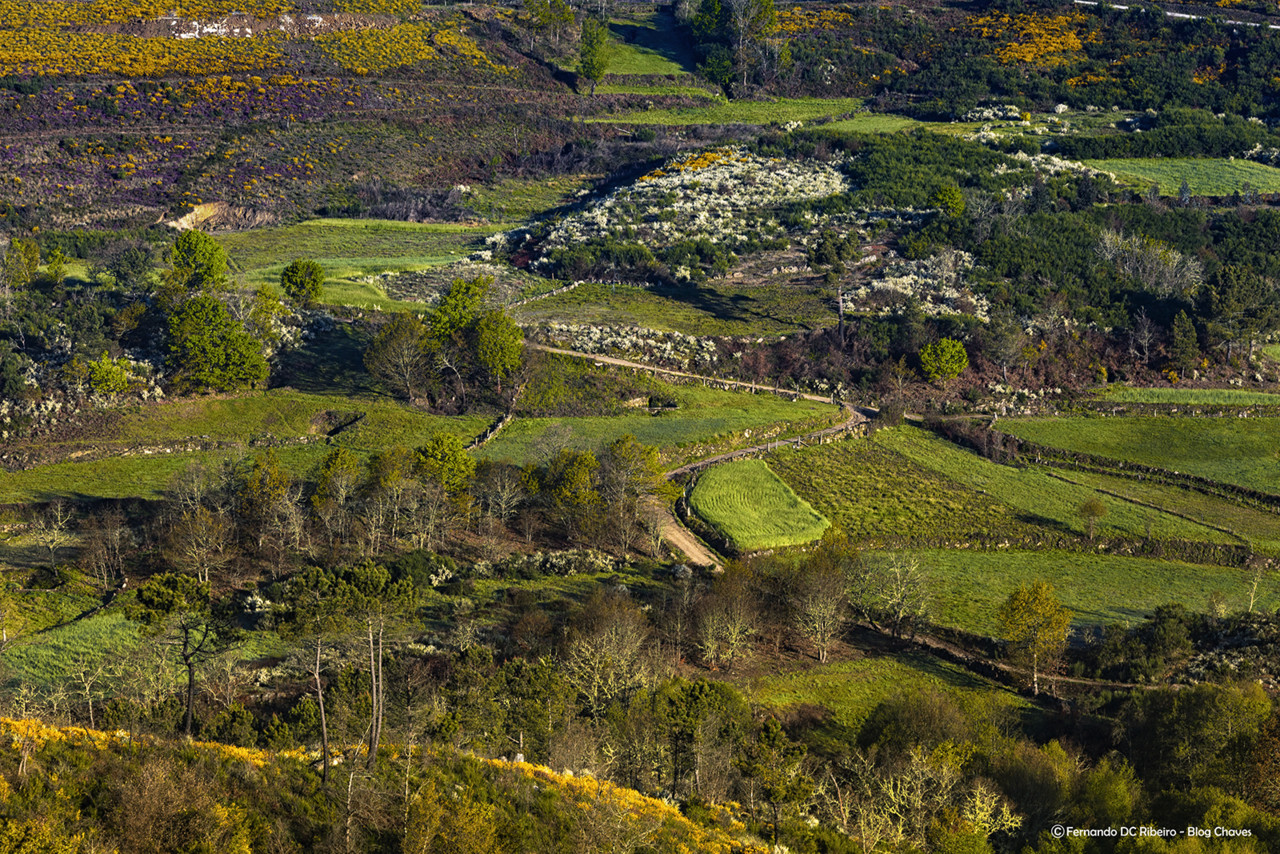 1600-entre-c-lebre-canedo (4)-granjo-9.jpg