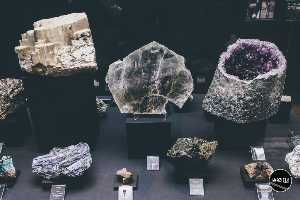 Museu_Geologico_de_Lisboa-017032.jpg