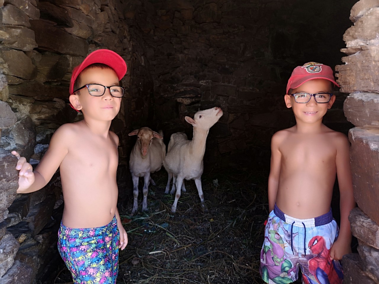 IMG_20200805_132426.jpg IMG_20200805_132426.jpg