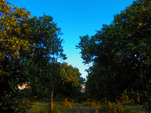 Sem Título106 (2).png