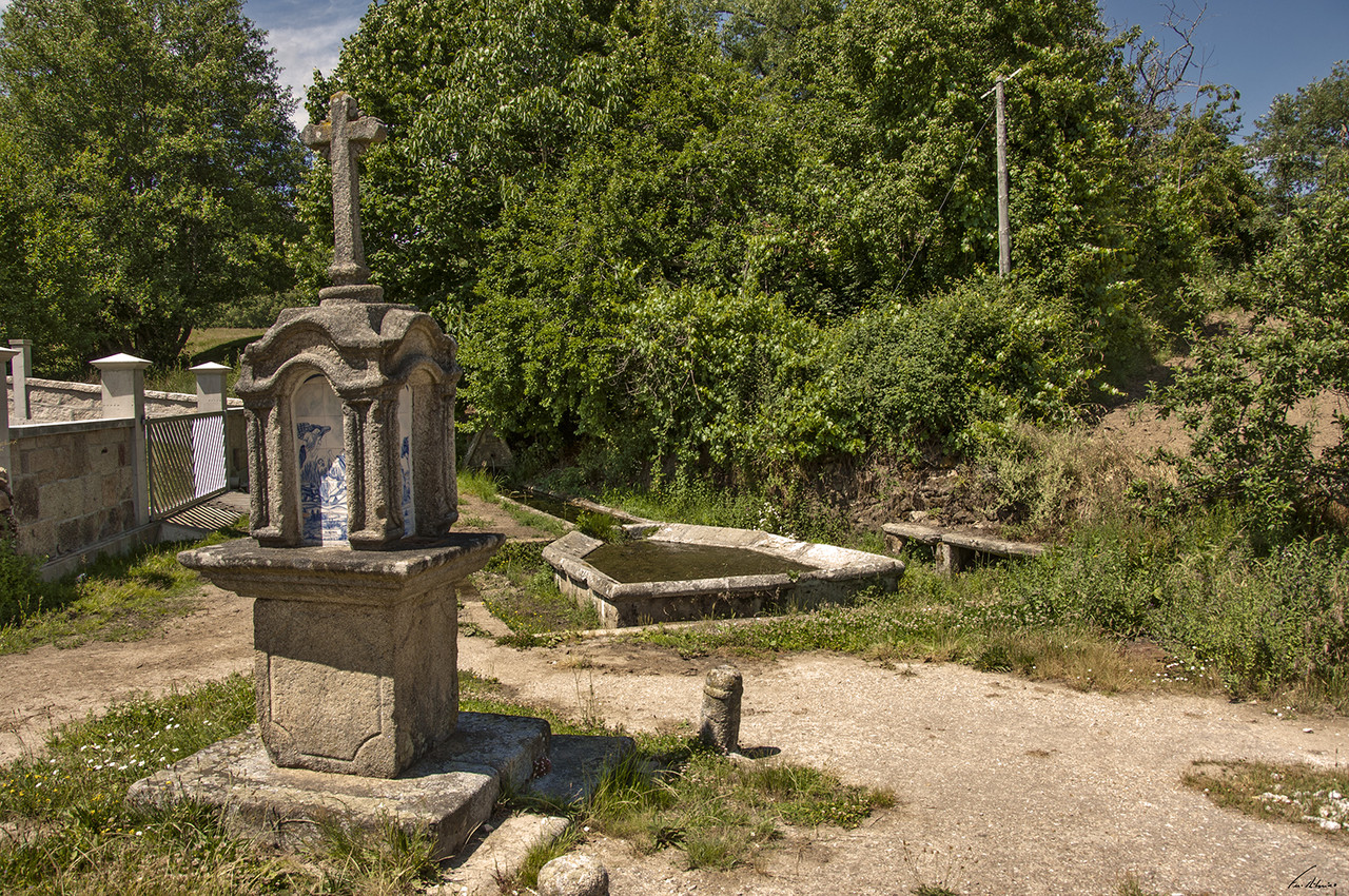 1600-firvidas (302).jpg