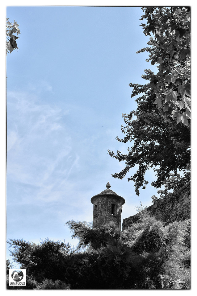 DSC_0181ab.jpg
