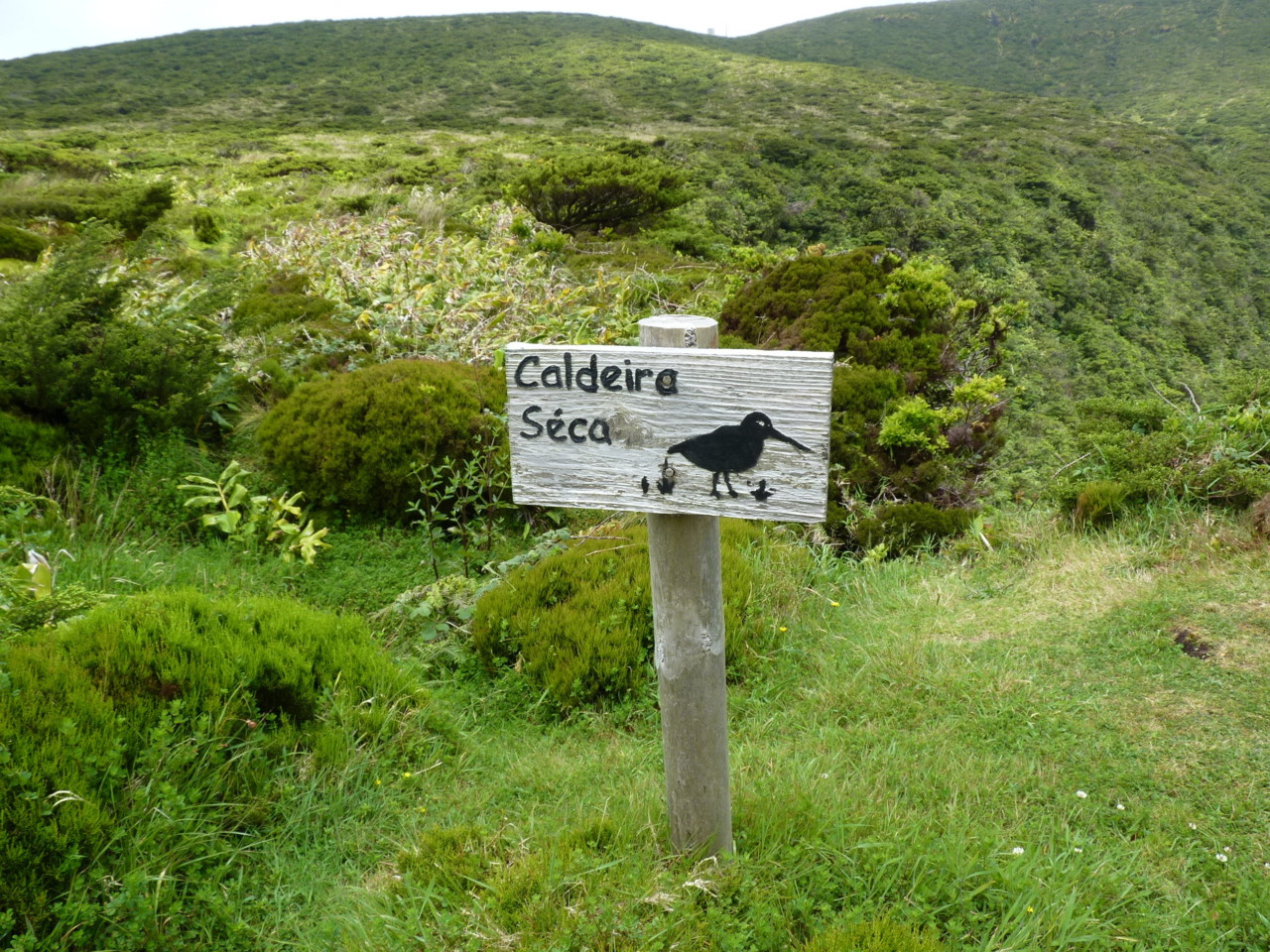 Lagoa Seca, Flores (2).JPG