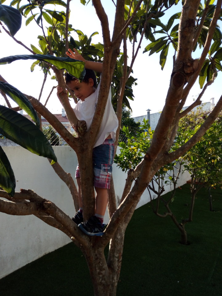 IMG_20180717_190331.jpg IMG_20180717_190331.jpg