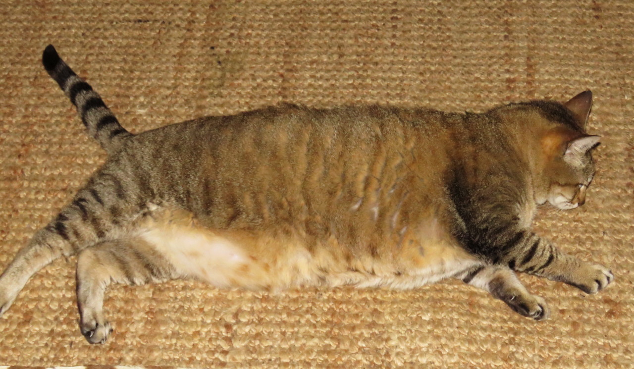 2017-04-22 19-44-39_0688.jpg 2017-04-22 19-44-39_0688.jpg