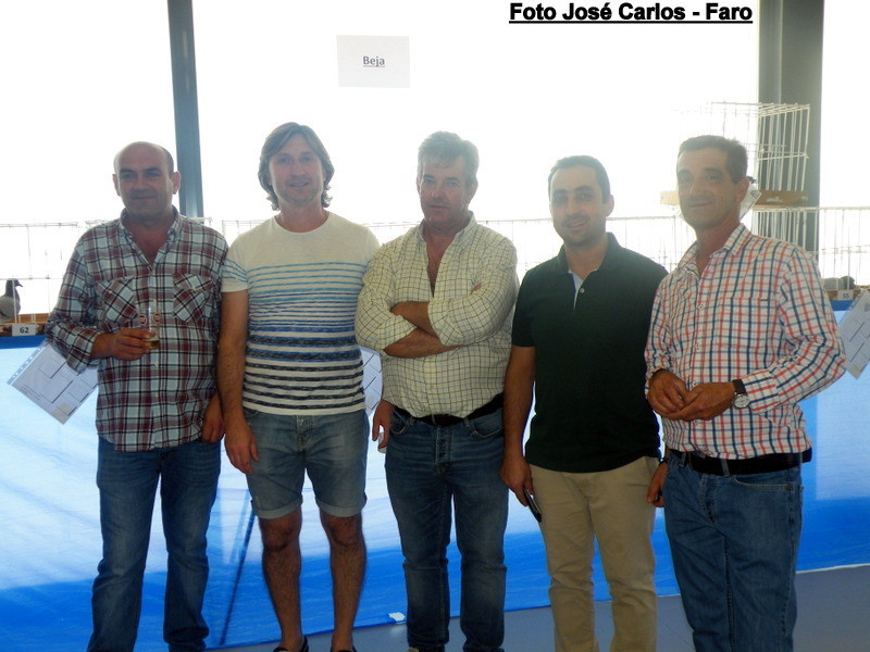 Leilão Serpa 2017 034.JPG