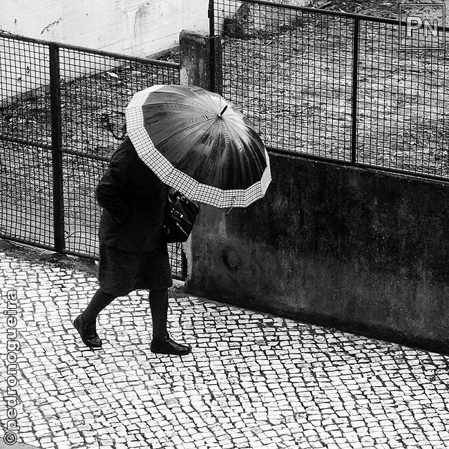 IMG_1840 square 650px.jpg IMG_1840 square 650px.jpg