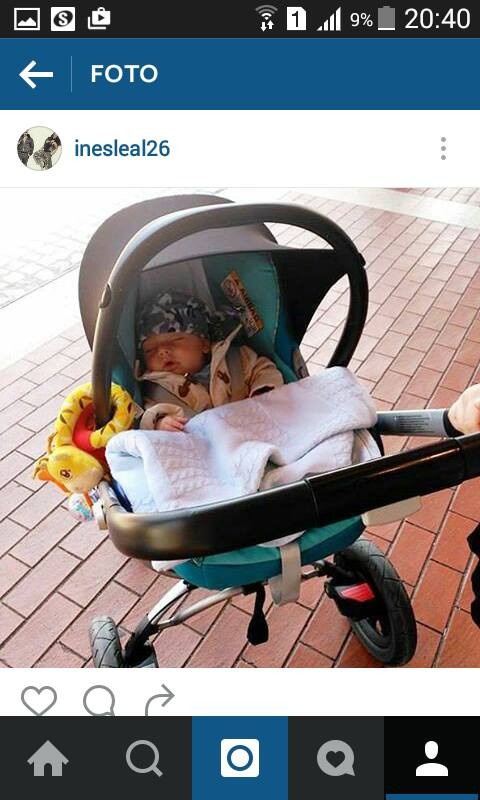 12963867_10204863960112261_4682207508472762550_n.j