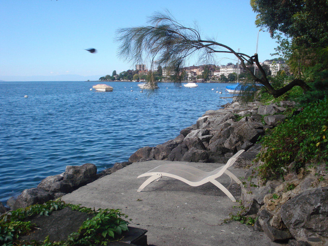 DSC09824.JPG DSC09824.JPG