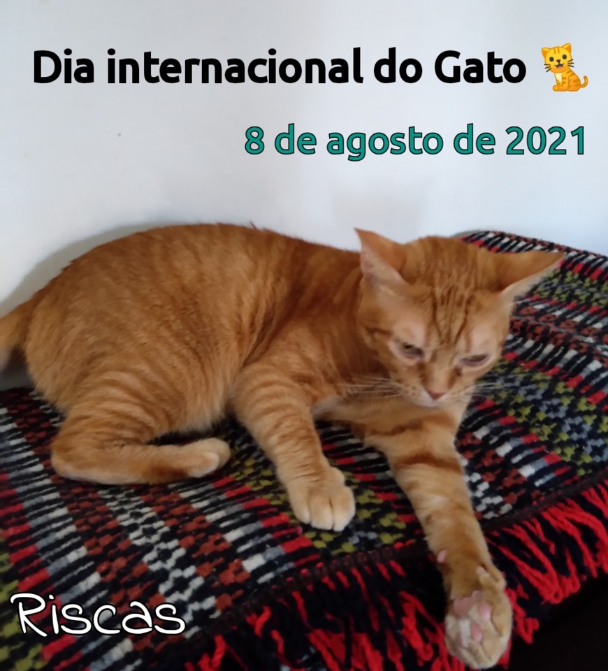 25 de Setembro de 2015 - Riscas, o gatinho amarelo