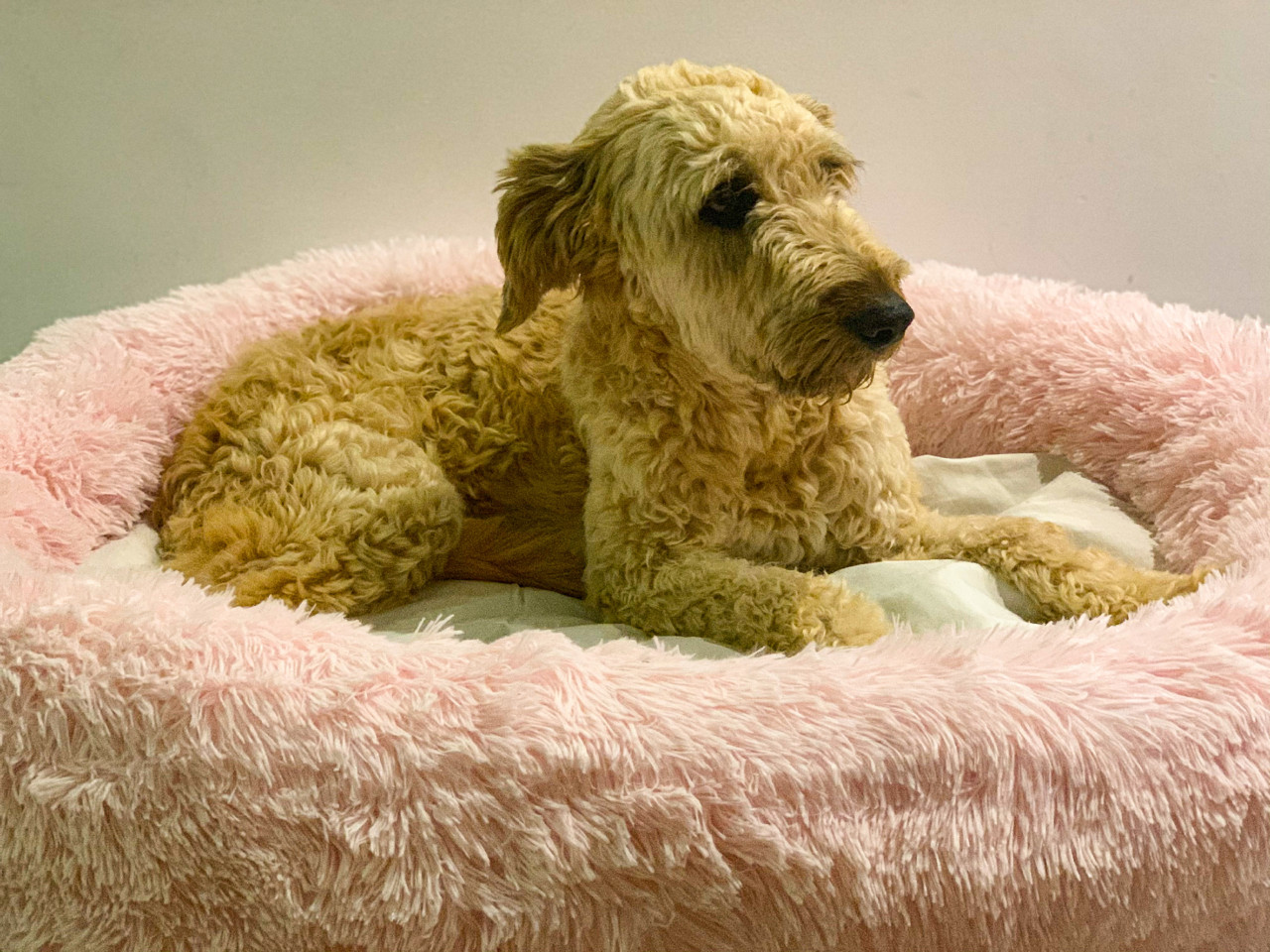 IMG_4812.JPG IMG_4812.JPG