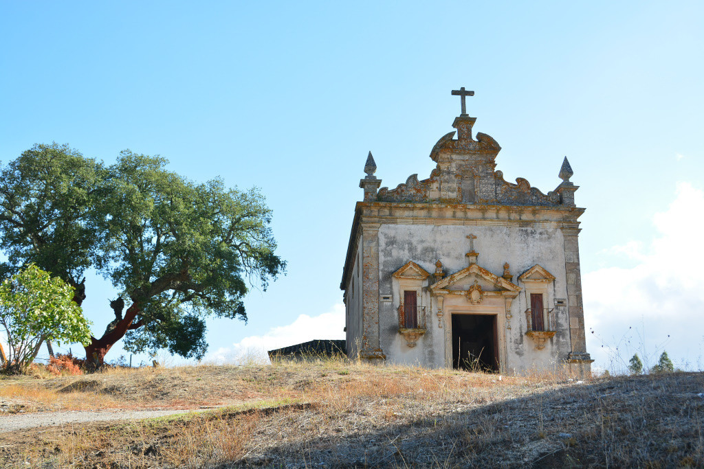 DSC_6117.jpg DSC_6117.jpg