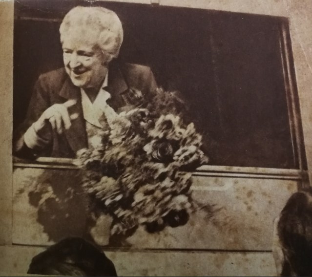 dona amelia visita janela.PNG dona amelia visita janela.PNG