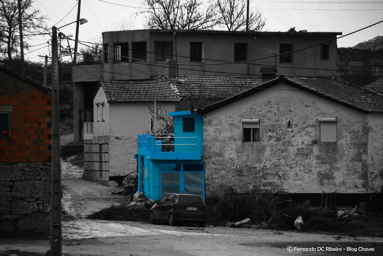 1600-capeludos (39)-video.jpg