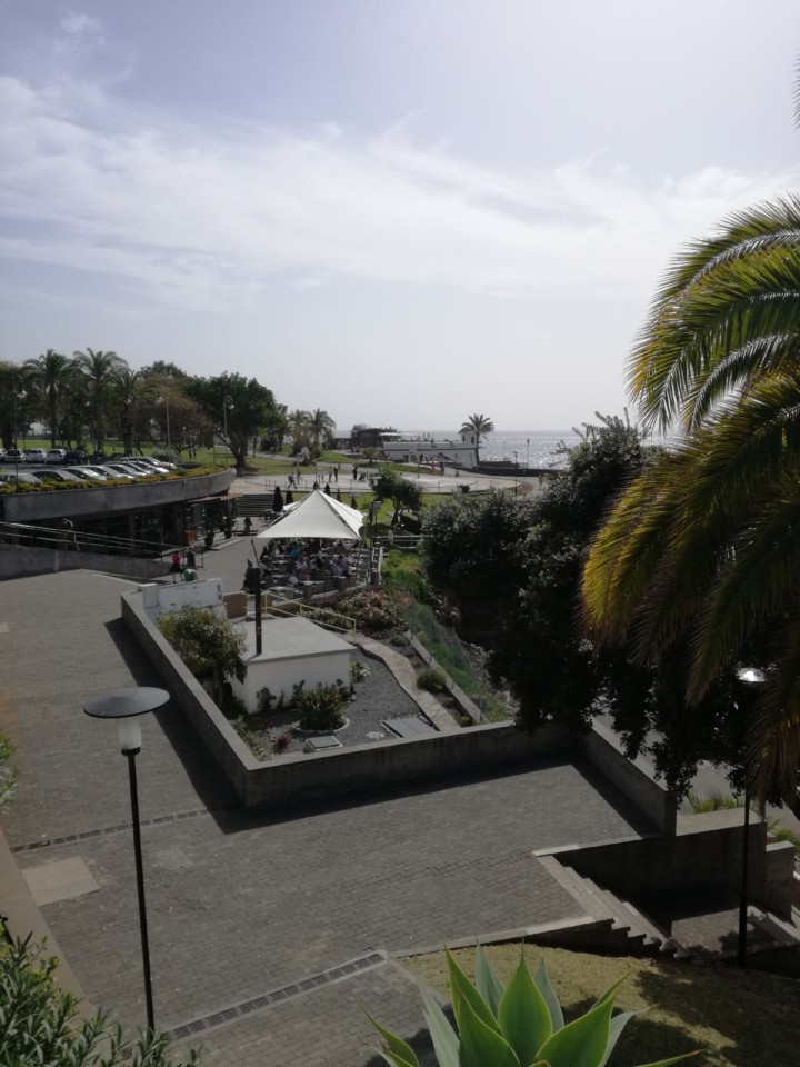 IMG_20190224_115851.jpg IMG_20190224_115851.jpg