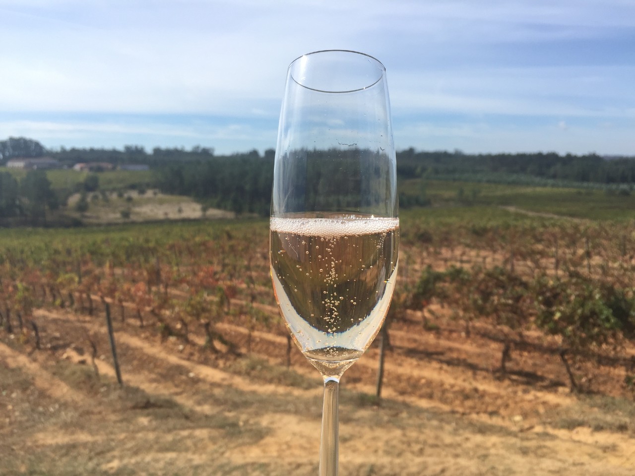 BAIRRADA Vinhos & Sabores 2017