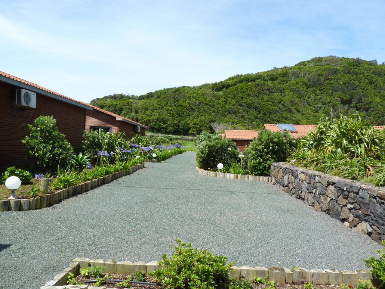 Flores - Sítio da Assumada (2).JPG