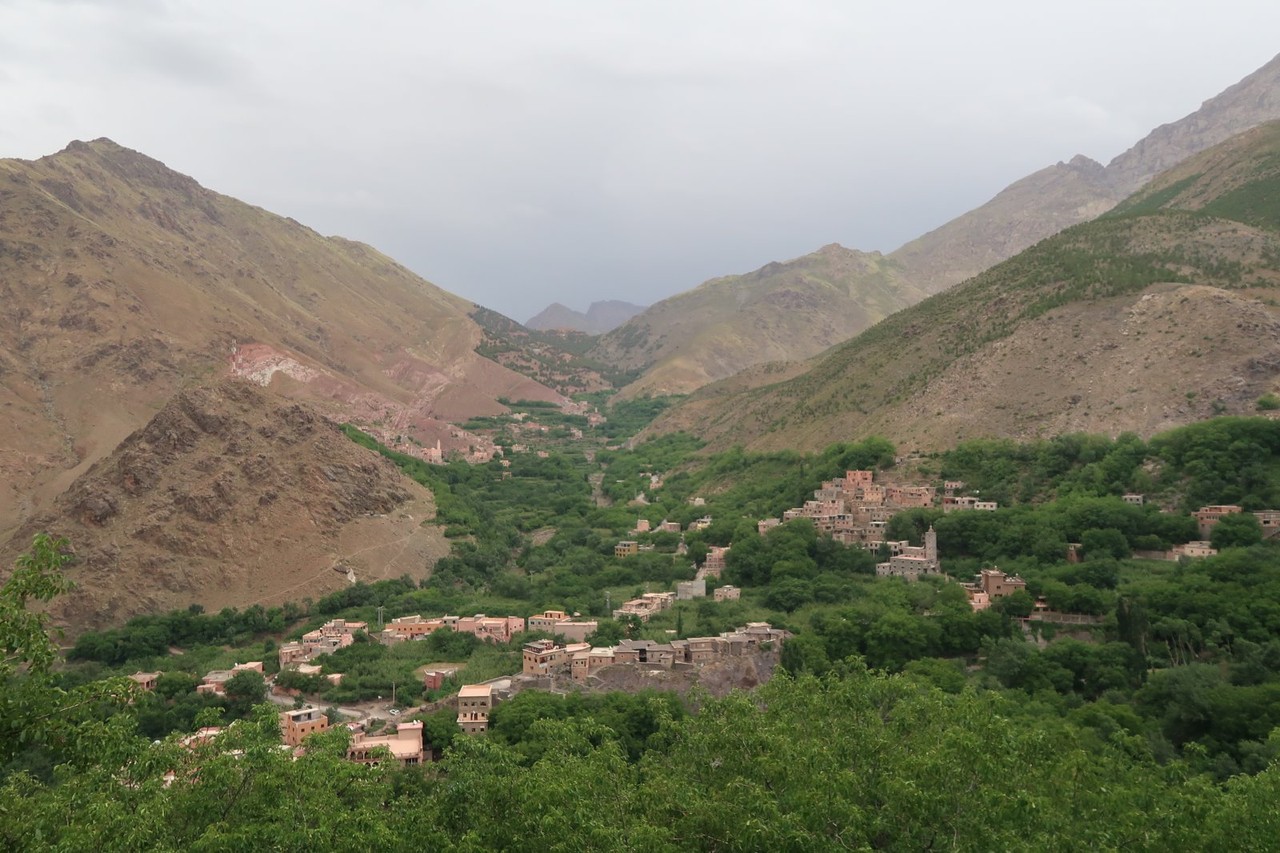 2017-06-15 2017-06-24 002 009.jpg