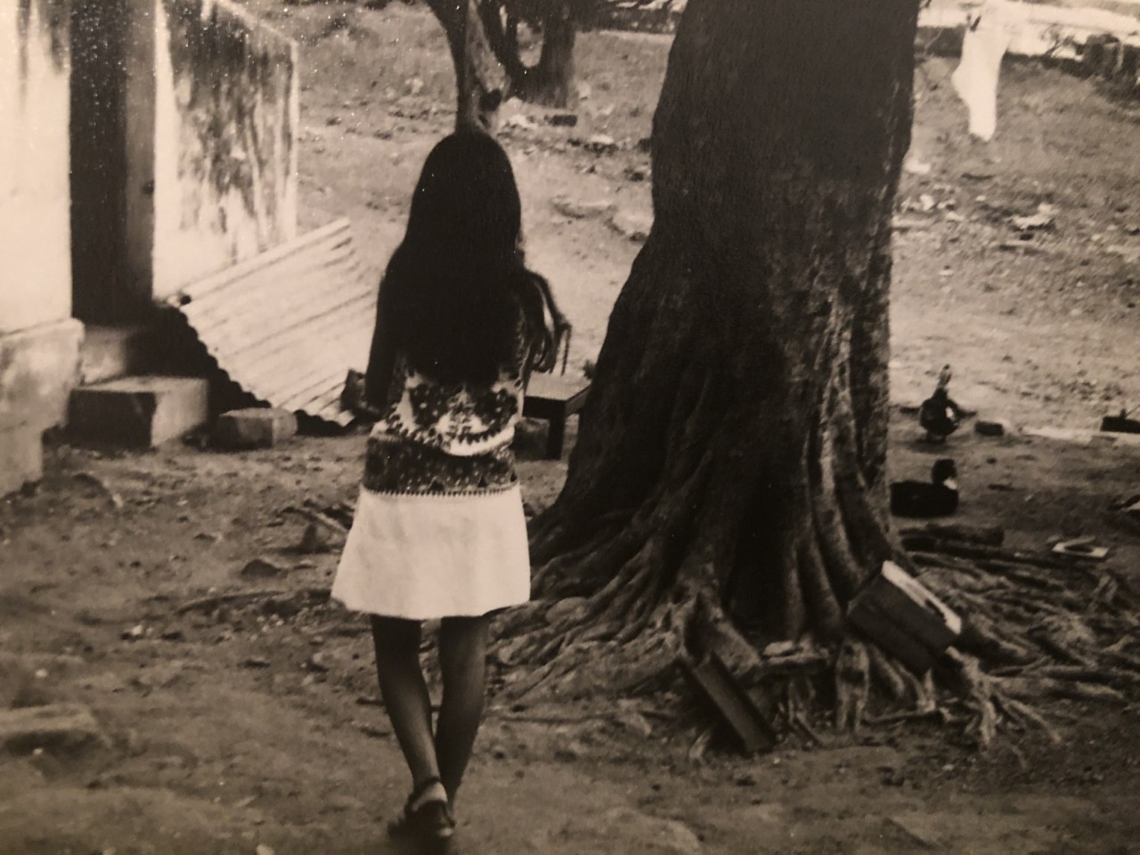 bErcoOwxRz2W28cKYZa+Tg.jpg bErcoOwxRz2W28cKYZa+Tg.jpg