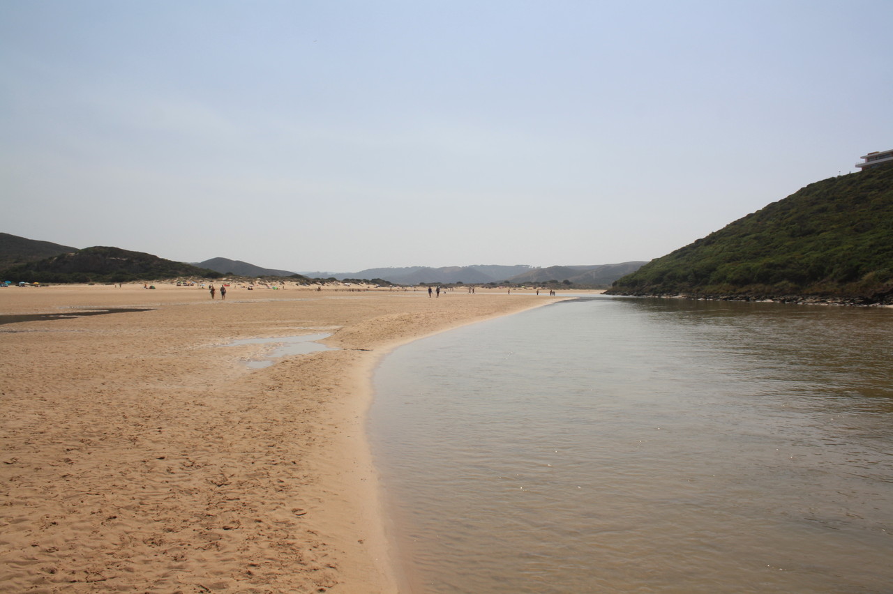 IMG_7359.JPG IMG_7359.JPG