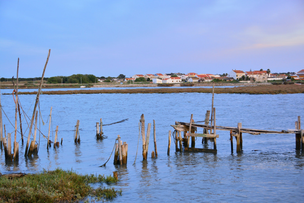 DSC_2989_01_00039.jpg DSC_2989_01_00039.jpg