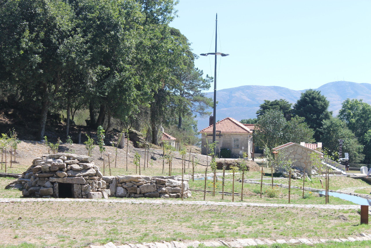 IMG_8685.JPG IMG_8685.JPG