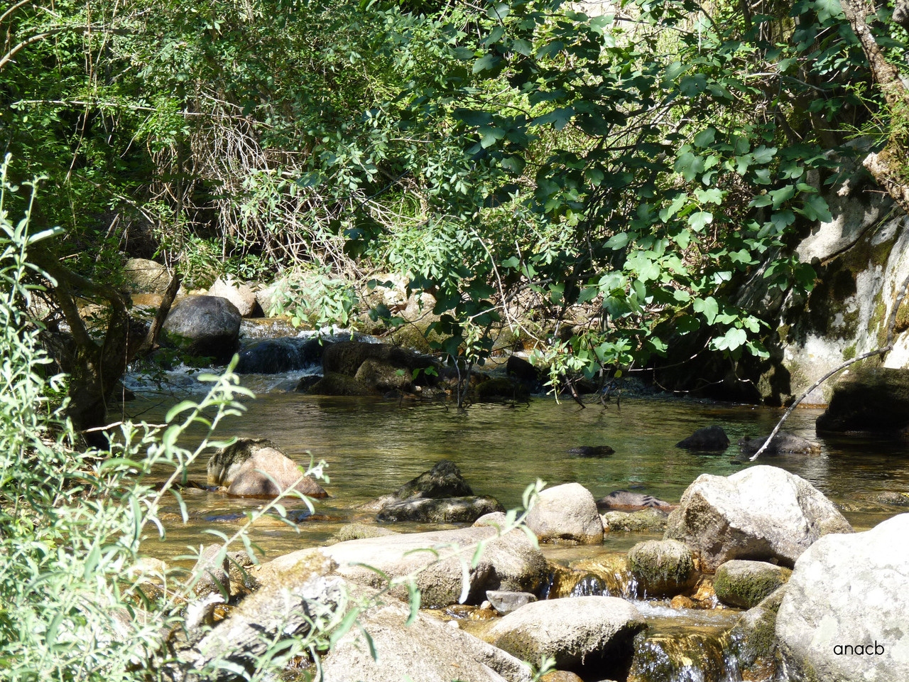 Ribeiro da Paradela (Tua), Junho 2016