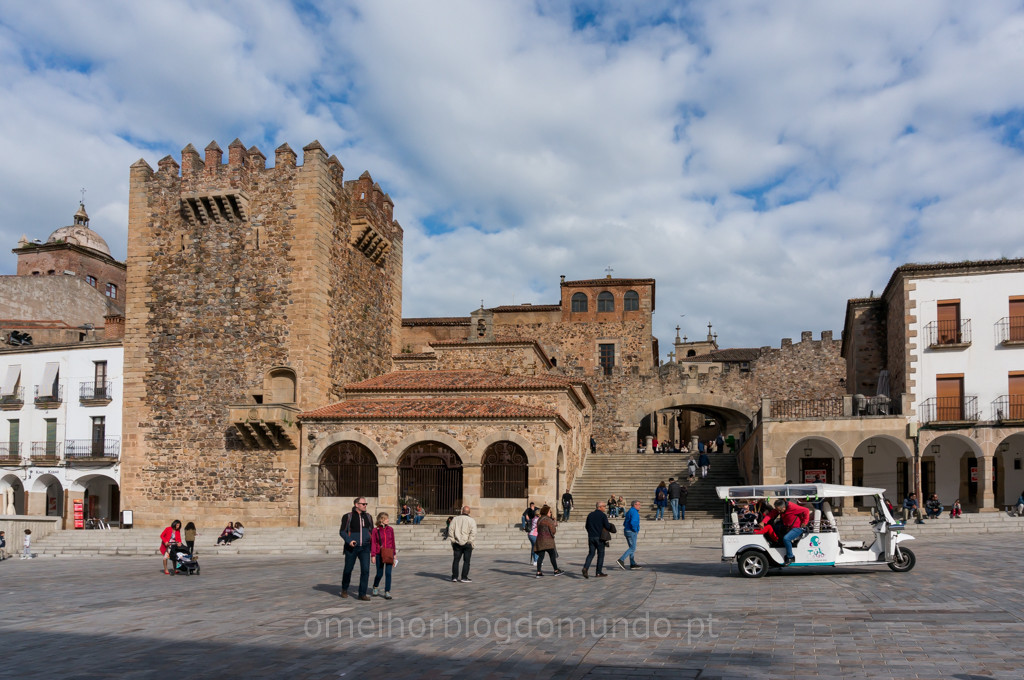 _DSC6388.jpg _DSC6388.jpg