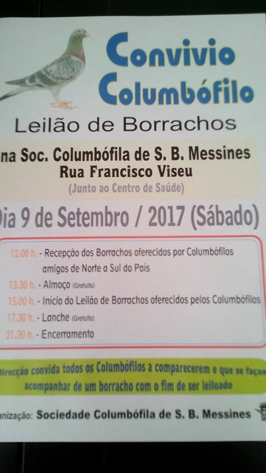 Leilão Messines.jpg