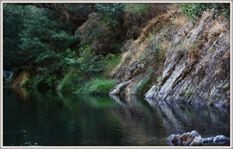 Castanheira de Pêra 1113.jpg