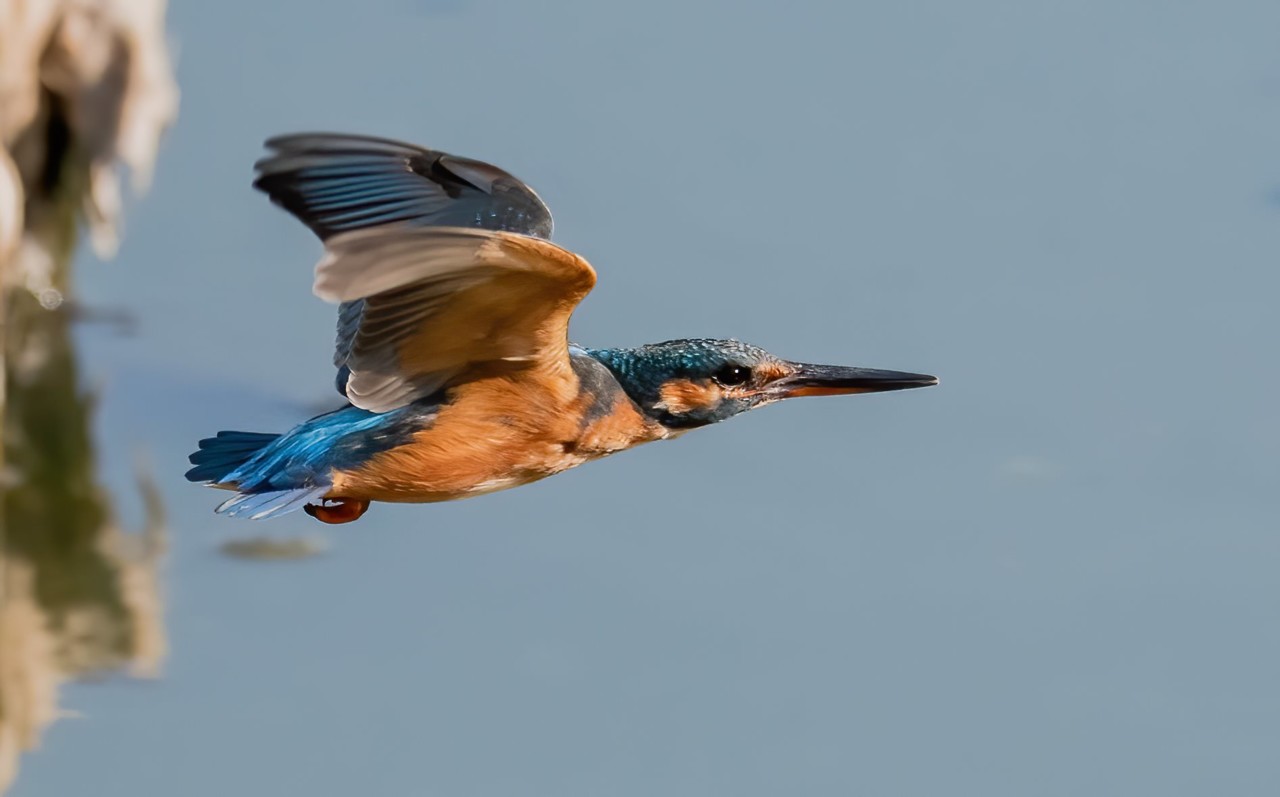 119182141_1641105786057066_3504305918918743922_o.j 119182141_1641105786057066_3504305918918743922_o.j