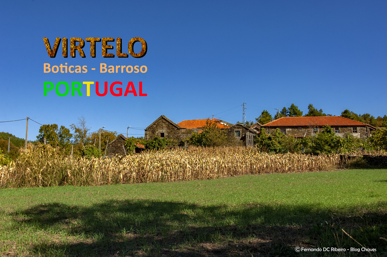 1600-virtelo (78).jpg