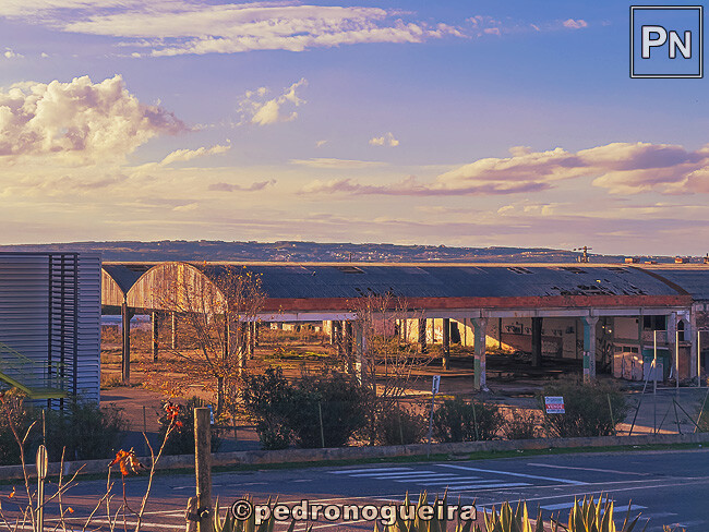 Out_2024_009 650px.jpg