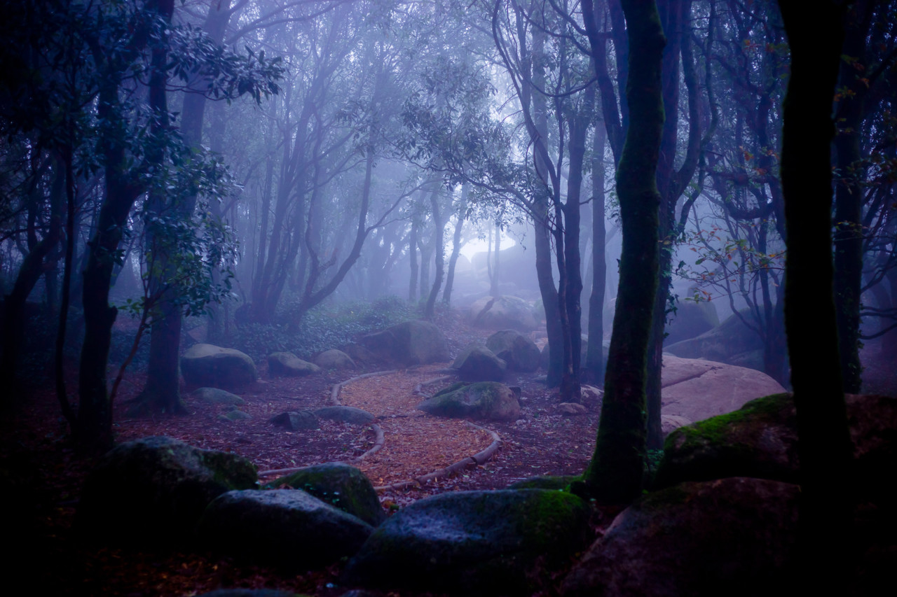 Trail de Sintra 2.jpg