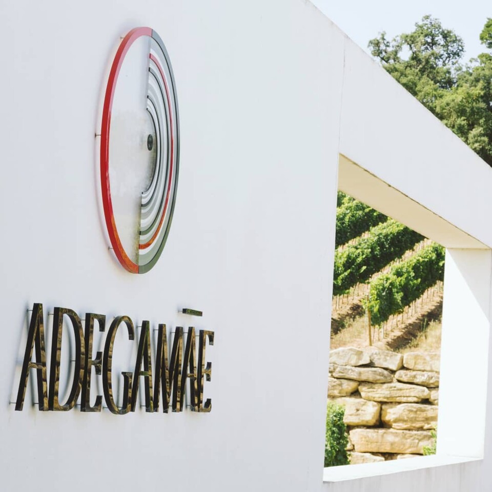 AdegaMãe e o primeiro Colheita Tardia