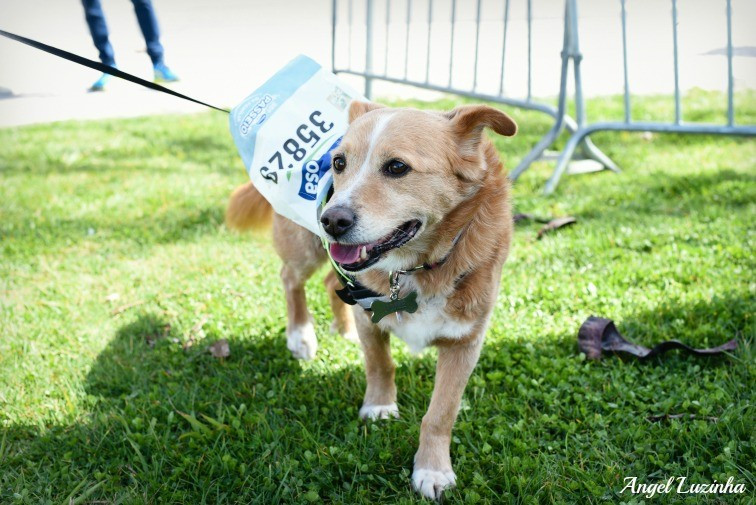 Angel Luzinha Fotografia-7335_BLOG.jpg