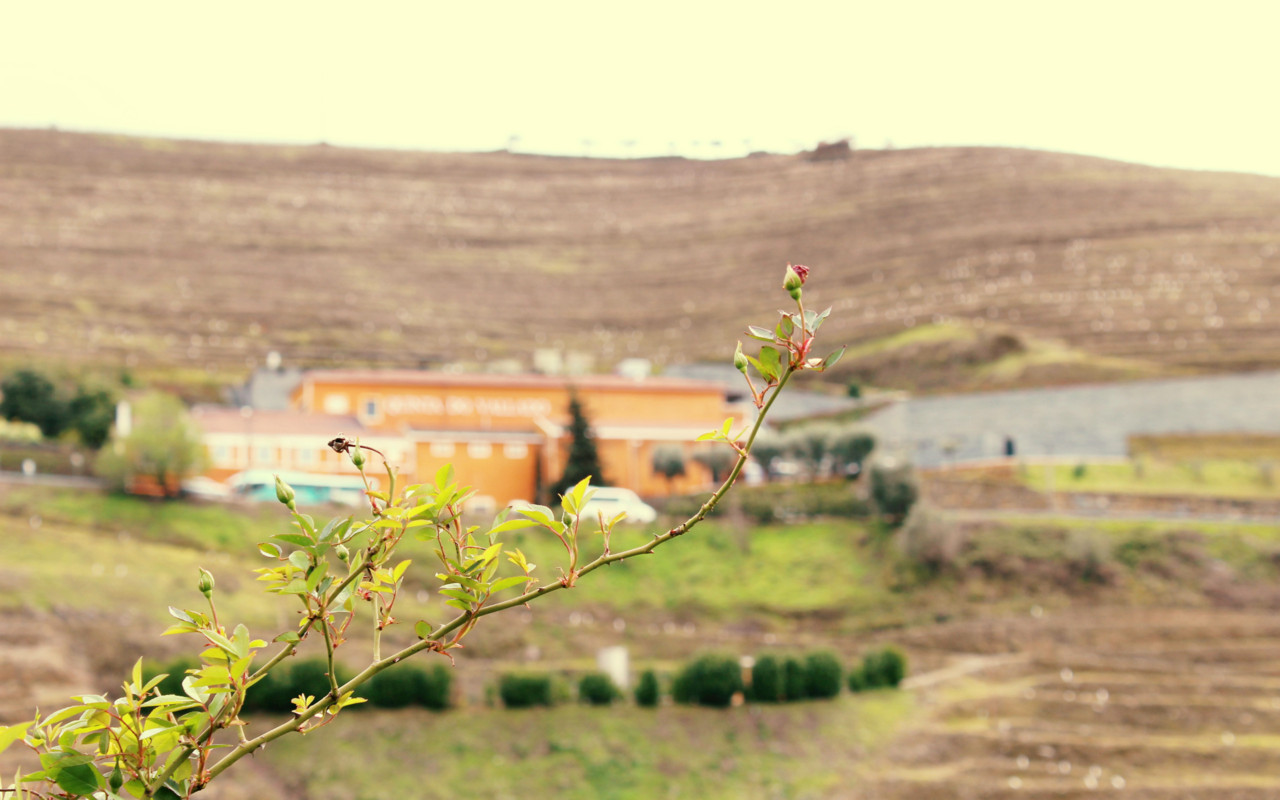 Quinta do Vallado