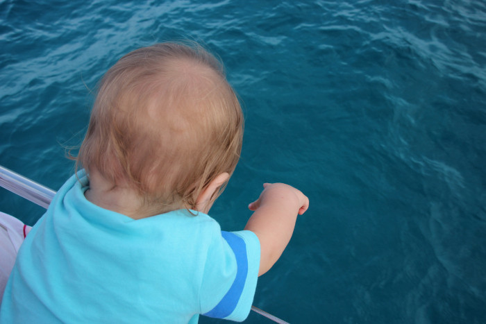 img_8689.jpg img_8689.jpg